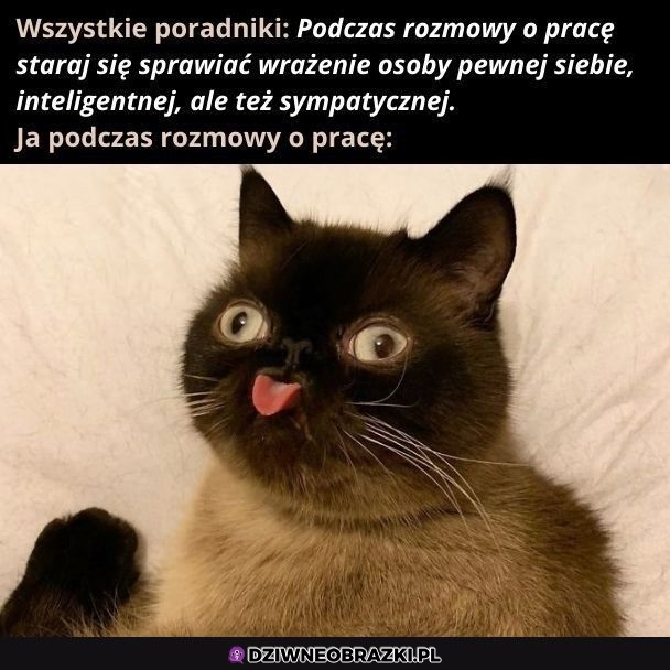 Na rozmowie o pracę