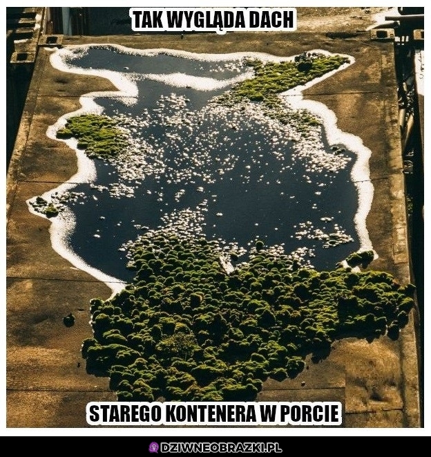 Nowy kontynent