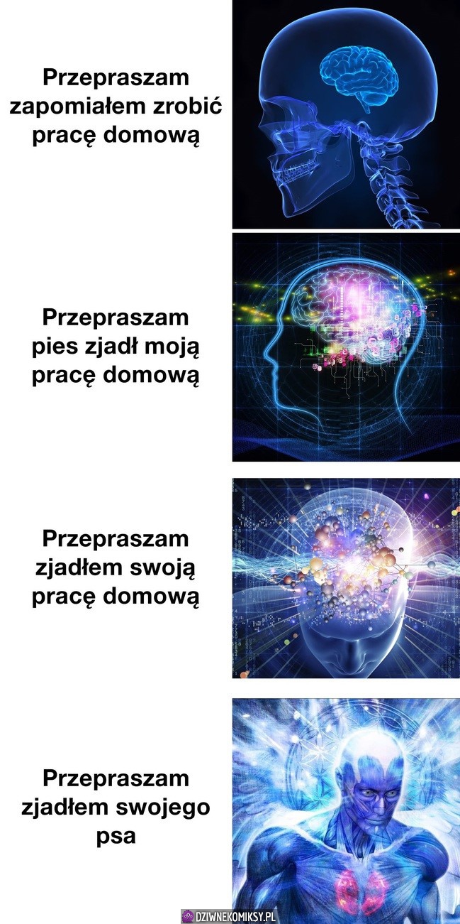 Poziomy mądrości