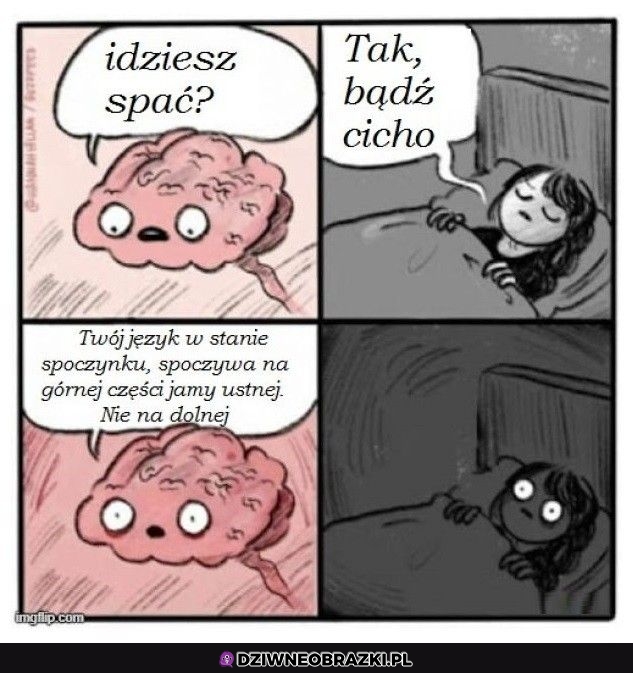 Dobranoc