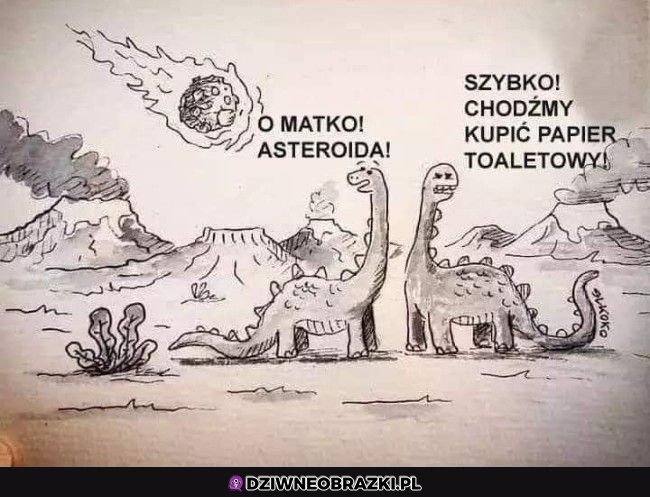 Najważniejsze