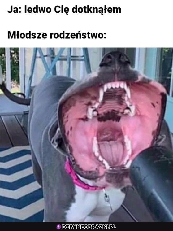 Kiedy lekko klepniesz rodzeństwo