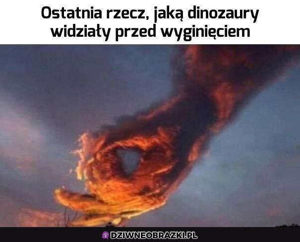 Ostatnia rzecz