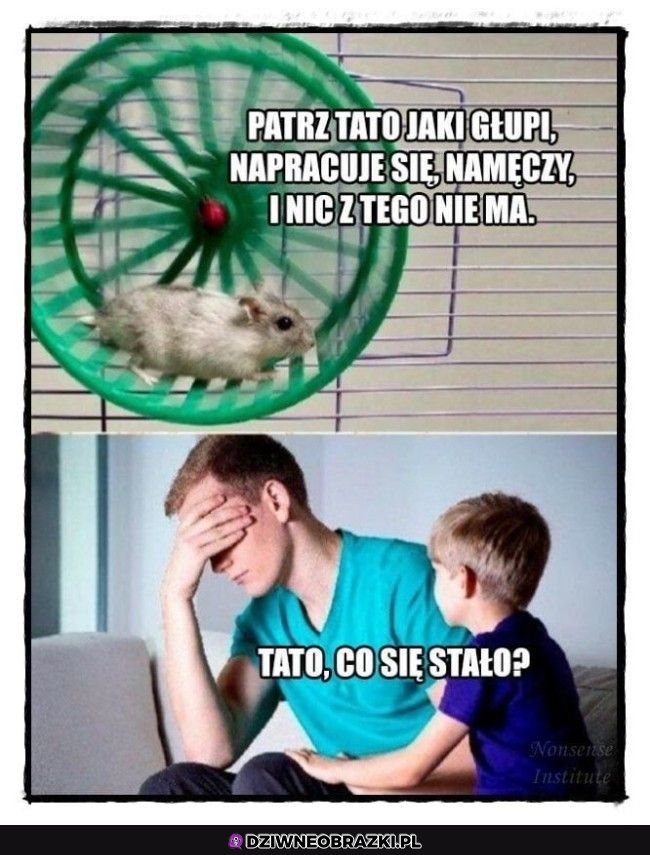 Patrz jaki głupi