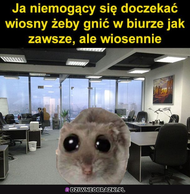Wiosenny vibe