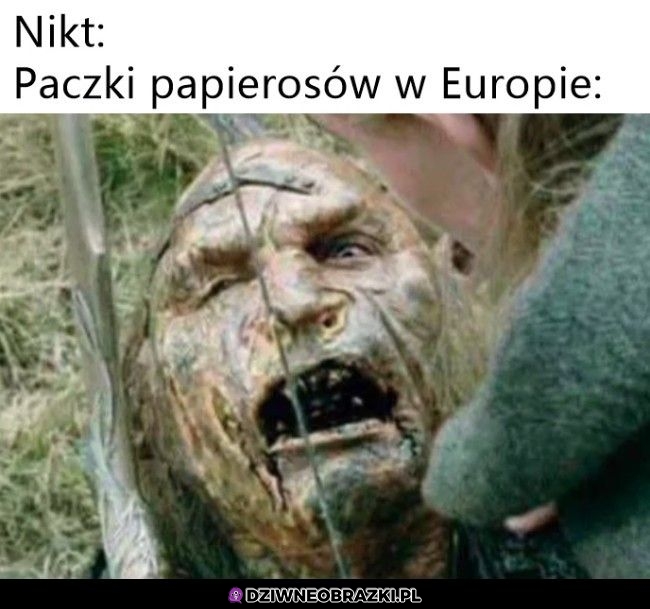 Taki ich wygląd