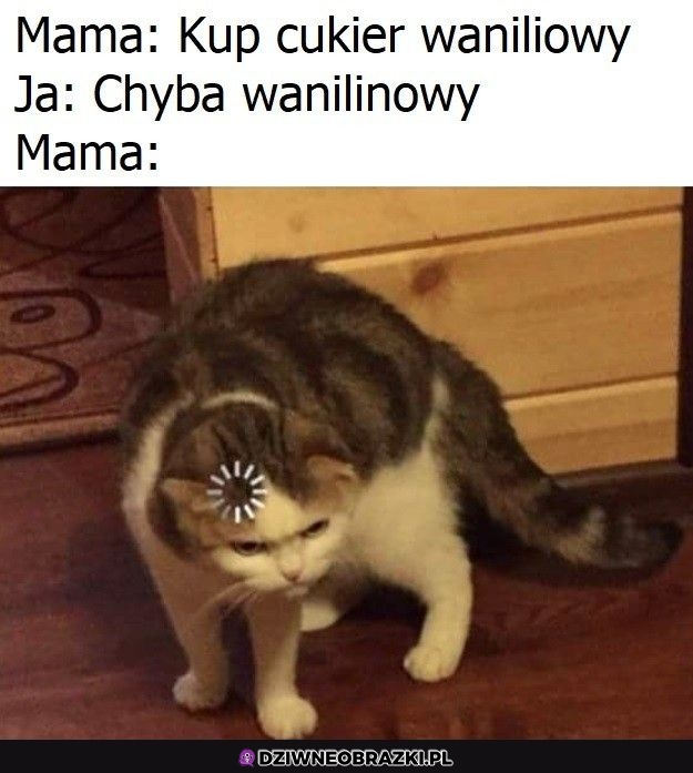 Jaki cukier? Jaki cukier?