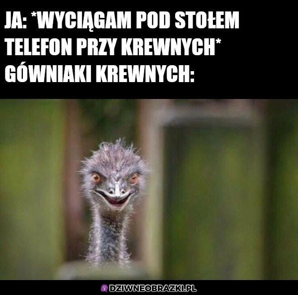 Ten moment