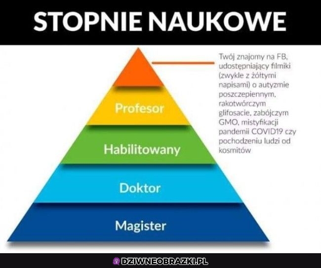 Stopnie naukowe