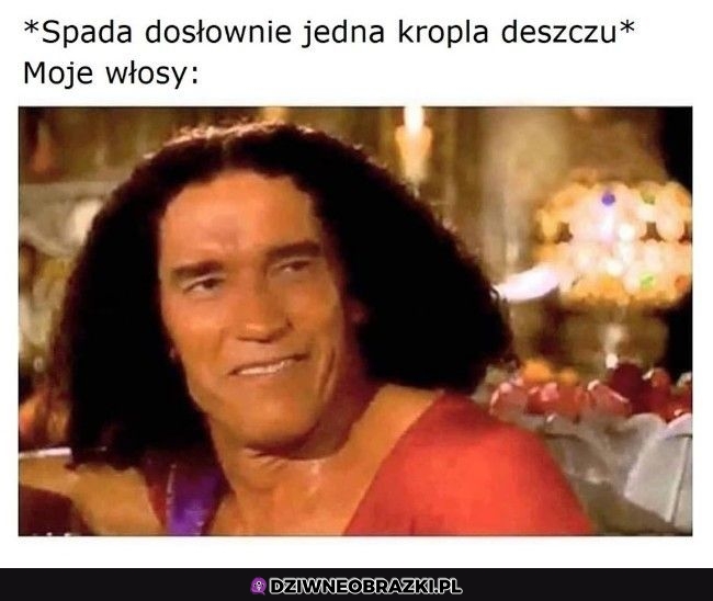 Zawsze to samo