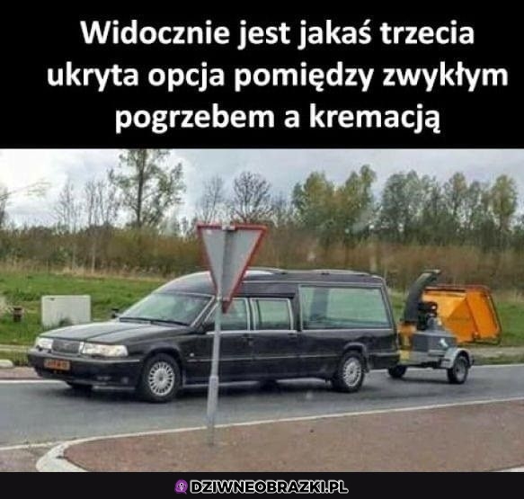 Jestem zainteresowany