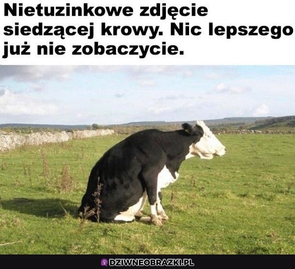 Siadła sobie