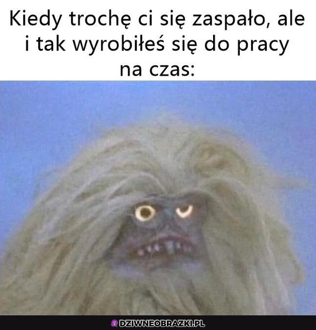 Delikatnie się przysnęło