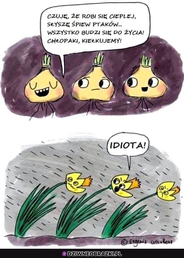 Jeszcze za wcześnie