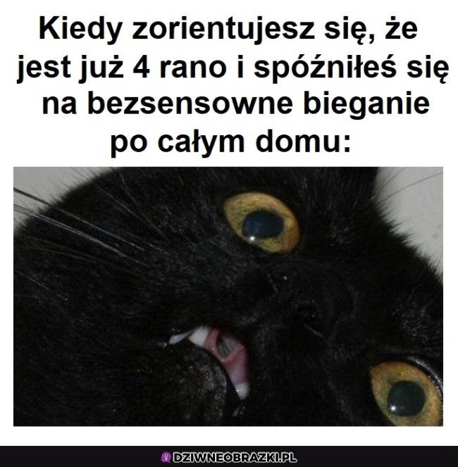 Najgorzej