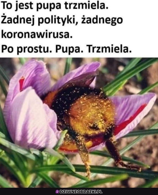 Przyda się