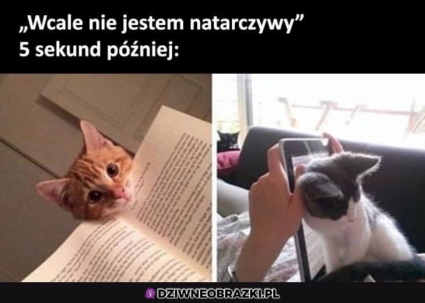 Wcale a wcale