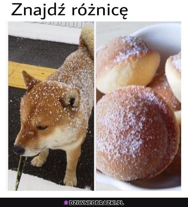 To i to słodkie