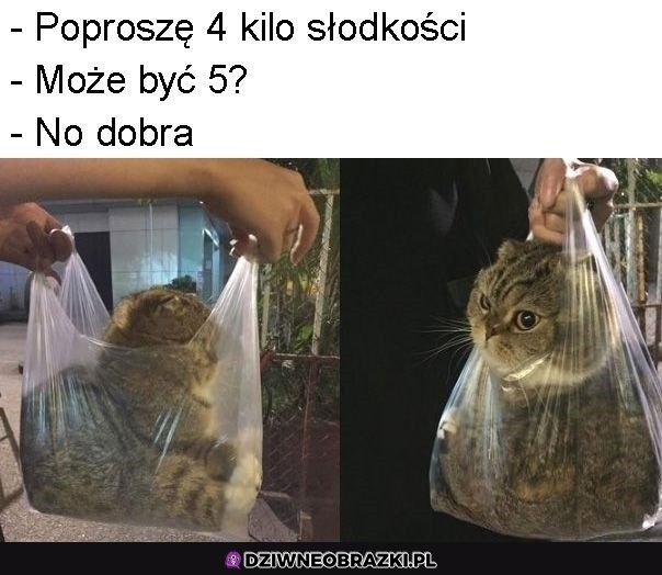 Słodkości na wynos