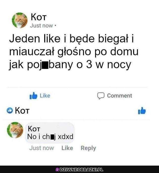 Jeden lajk