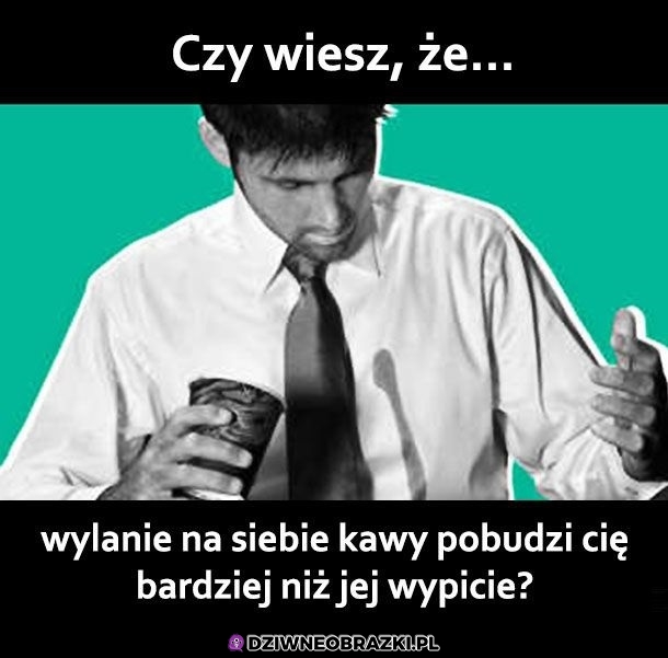 Ciekawostka