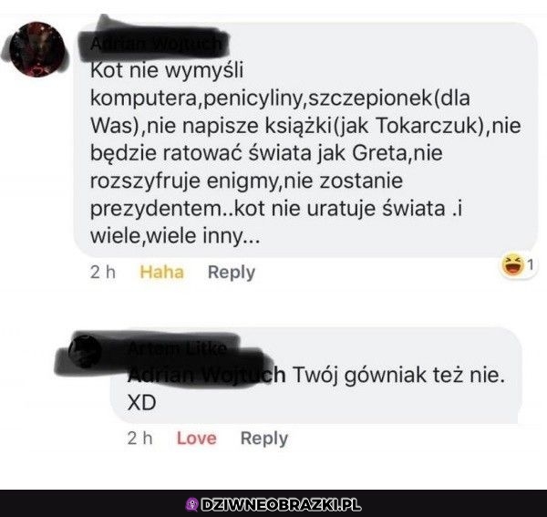 Kiedy napiszesz, że wolisz mieć kota niż dzieci