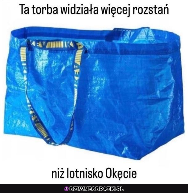 Coś w tym jest