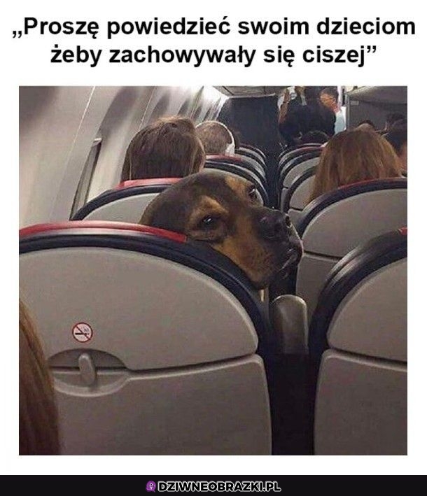Ciszej tam z tyłu