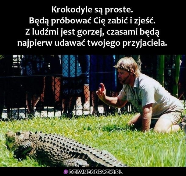 Wolę krokodyle
