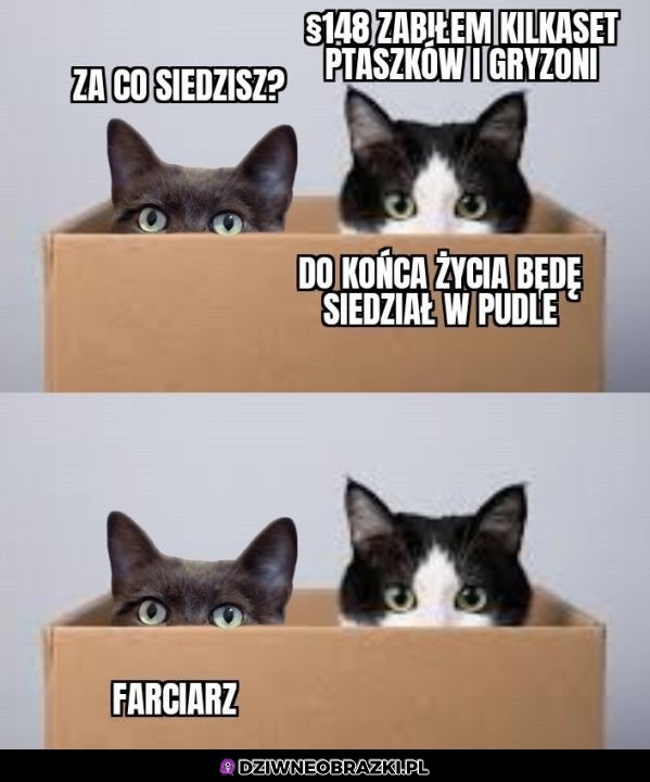 Wygrał