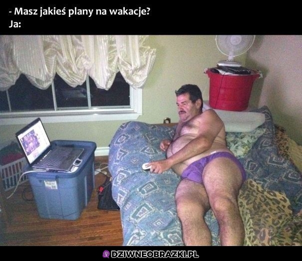 Plan idealny