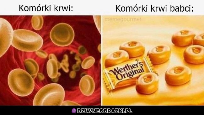 Komórki krwi