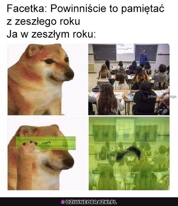 Taki był ten rok