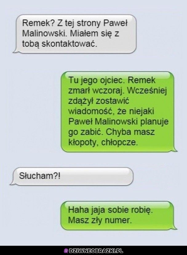 Halo, Remek?