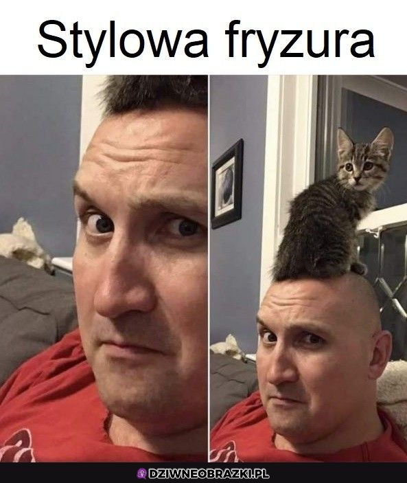 Fryzura idealna
