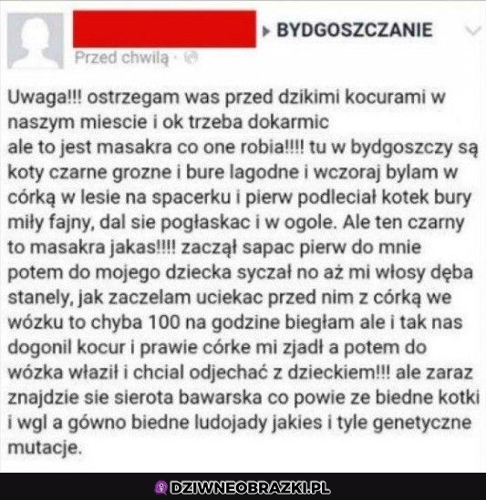 Trzymajcie się w tej Bydgoszczy