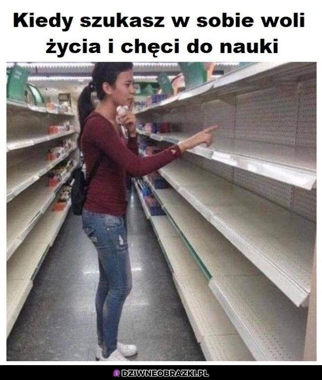 Poszukiwania trwają