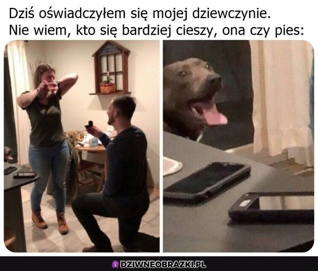 Kiedy się oświadczysz...