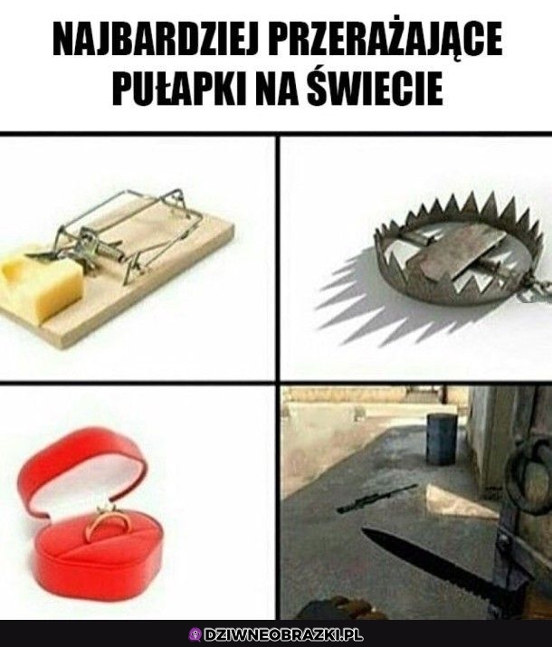 Pułapki