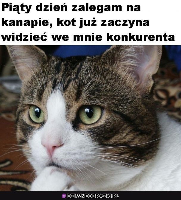 A to dopiero początek