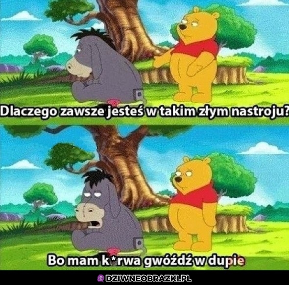 Jest to jakiś powód