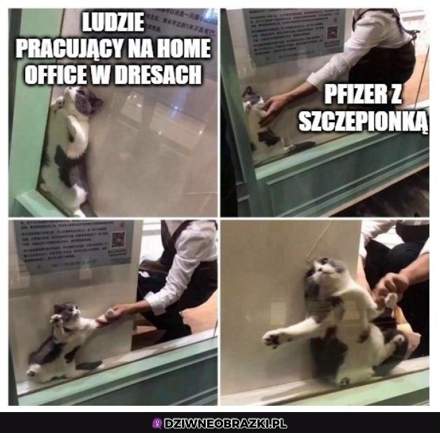 No nieee zostawcie nas