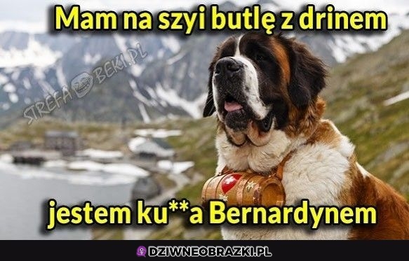 Butla z drinem