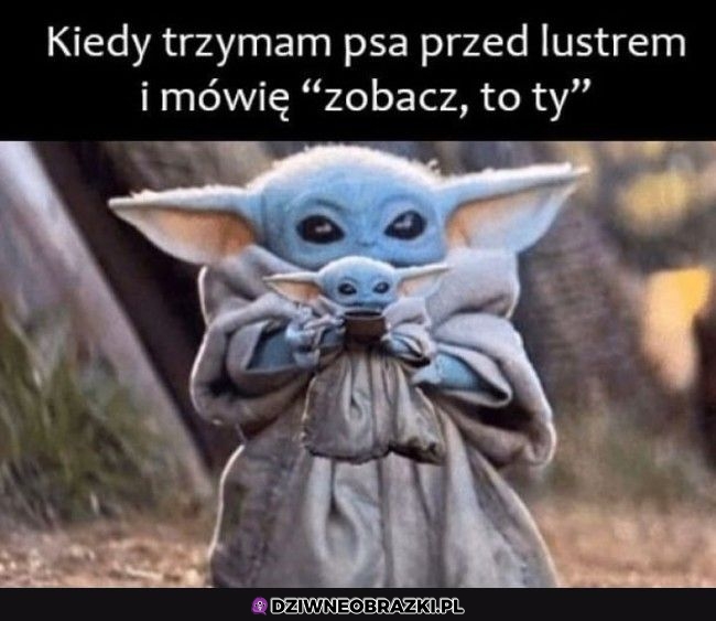 No patrz