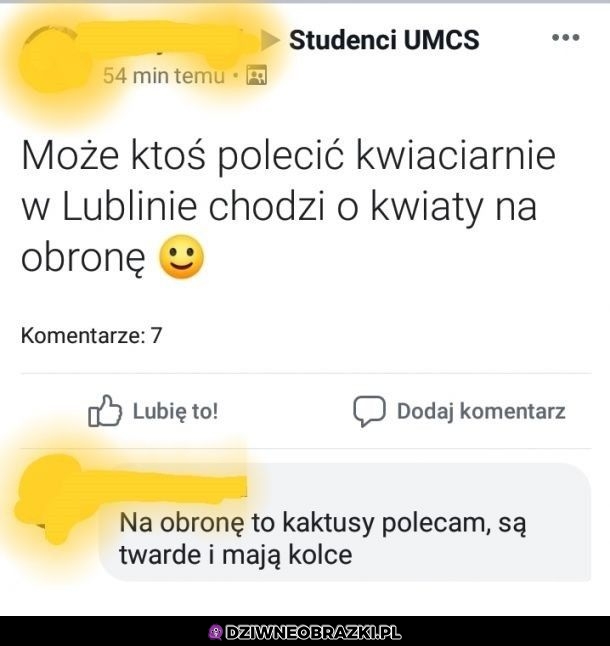 Poleccam