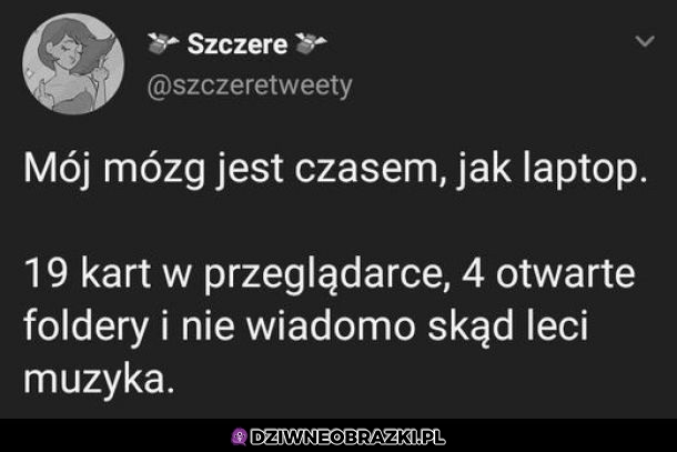 Mój mózg