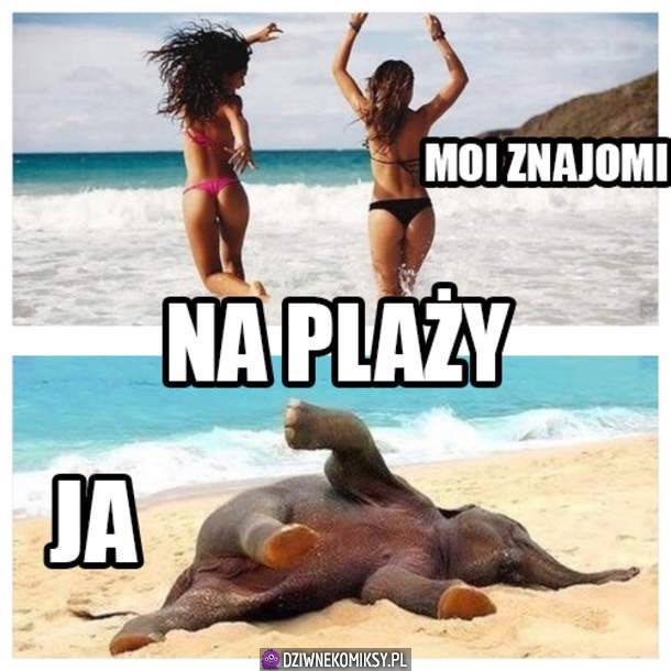 Na plaży