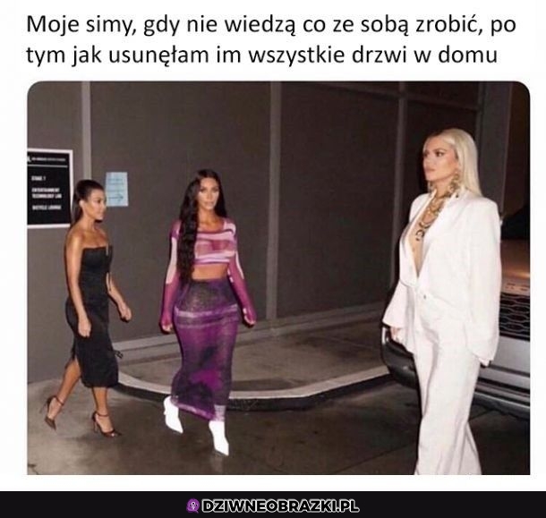 Moje simy