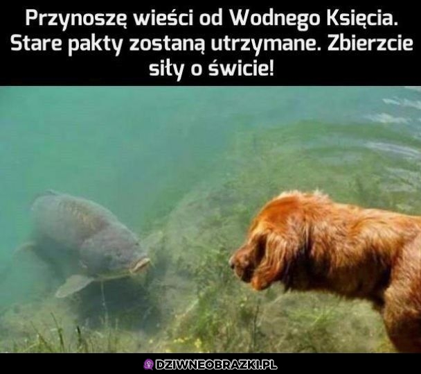 Posłaniec