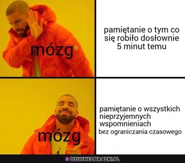 Dzięki mózgu